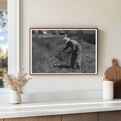 Farmer Cutting Weeds at Idaho Labor Camp June 1941