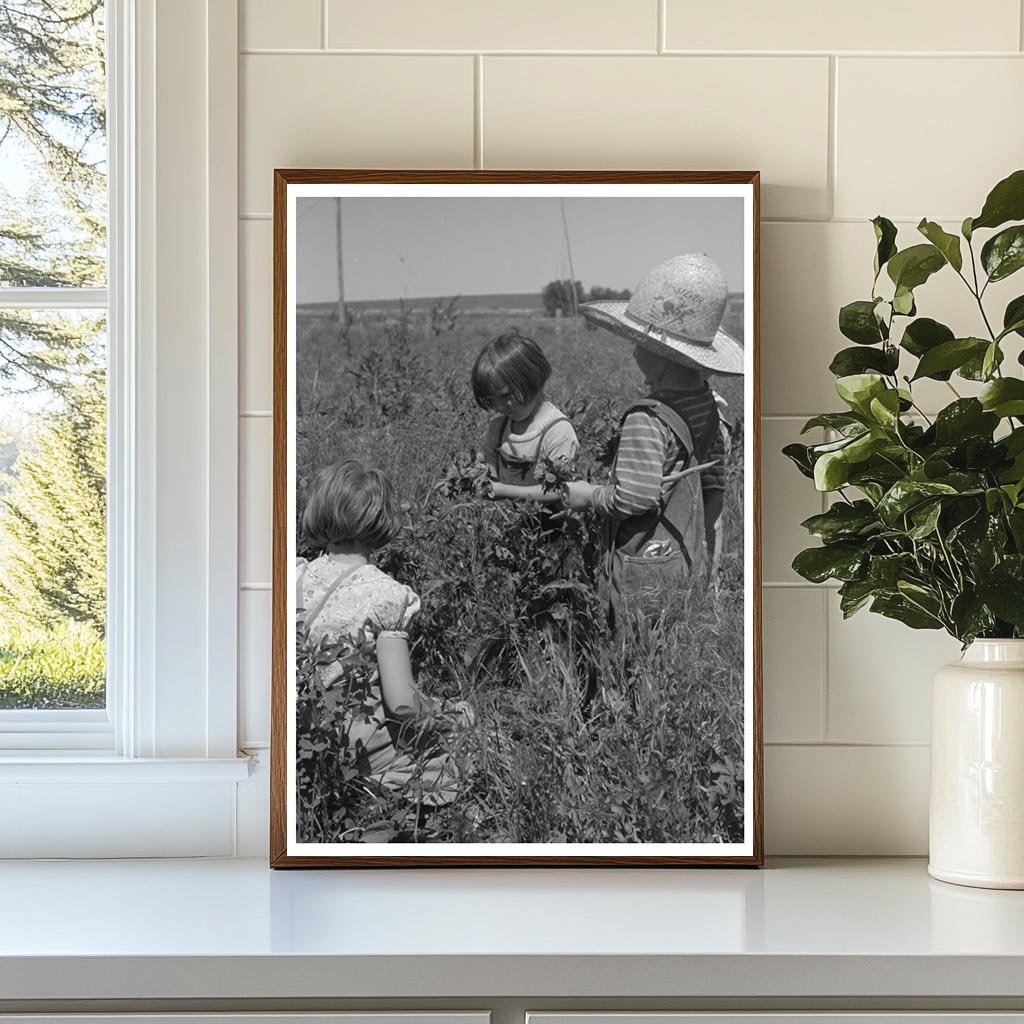 Child of Farm Worker at Labor Camp Caldwell Idaho 1941