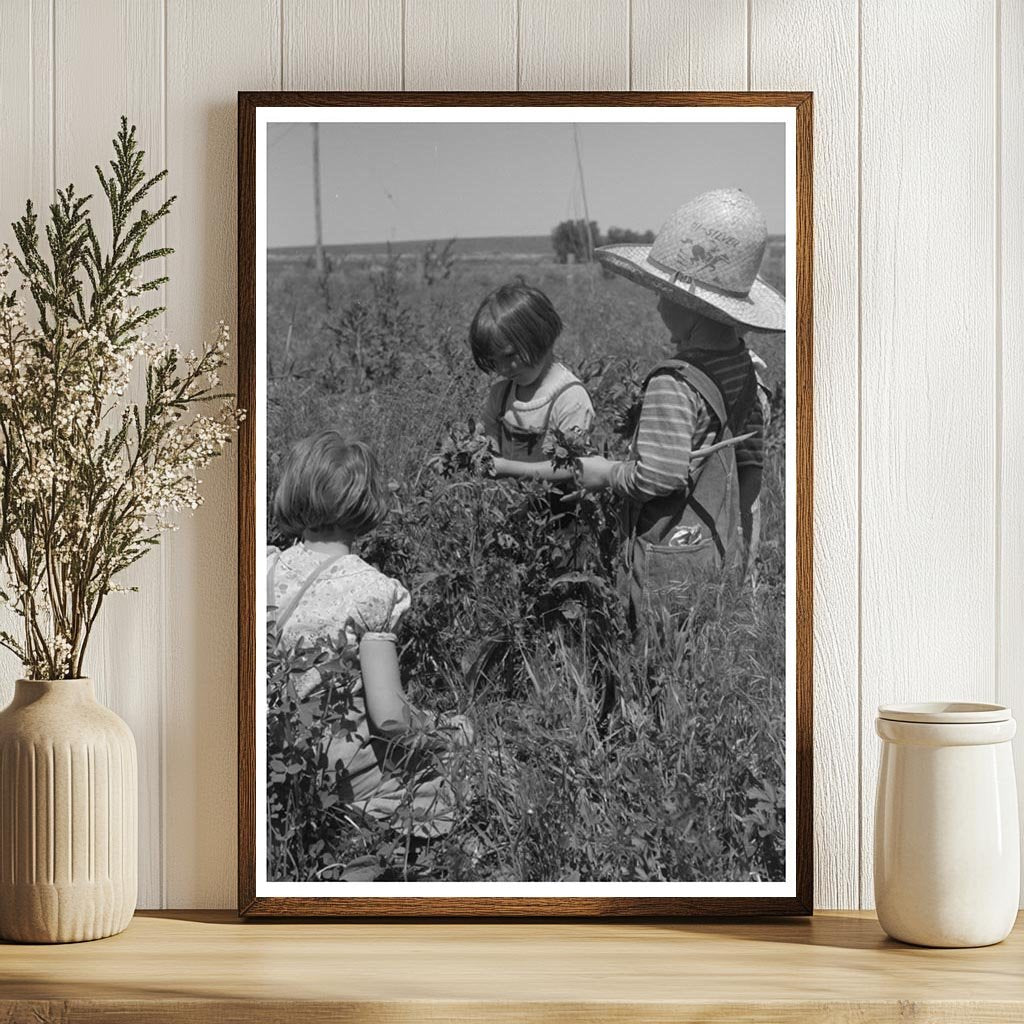 Child of Farm Worker at Labor Camp Caldwell Idaho 1941