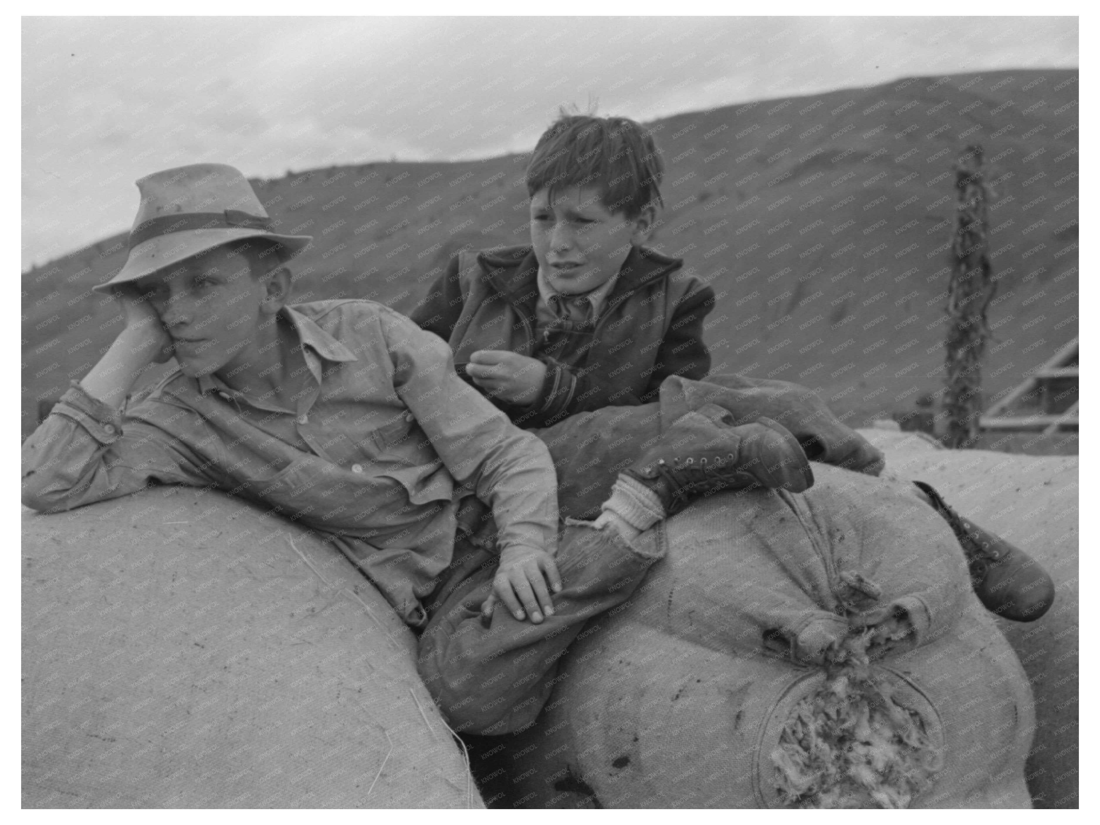 Boys on Wool Sacks in Malheur County Oregon June 1941