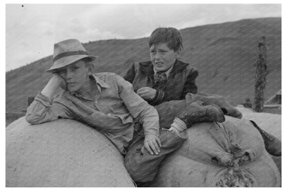 Boys on Wool Sacks in Malheur County Oregon 1941