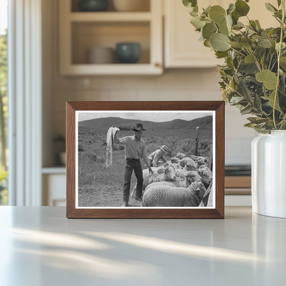 Sheep Shearing Scene in Malheur County Oregon 1941