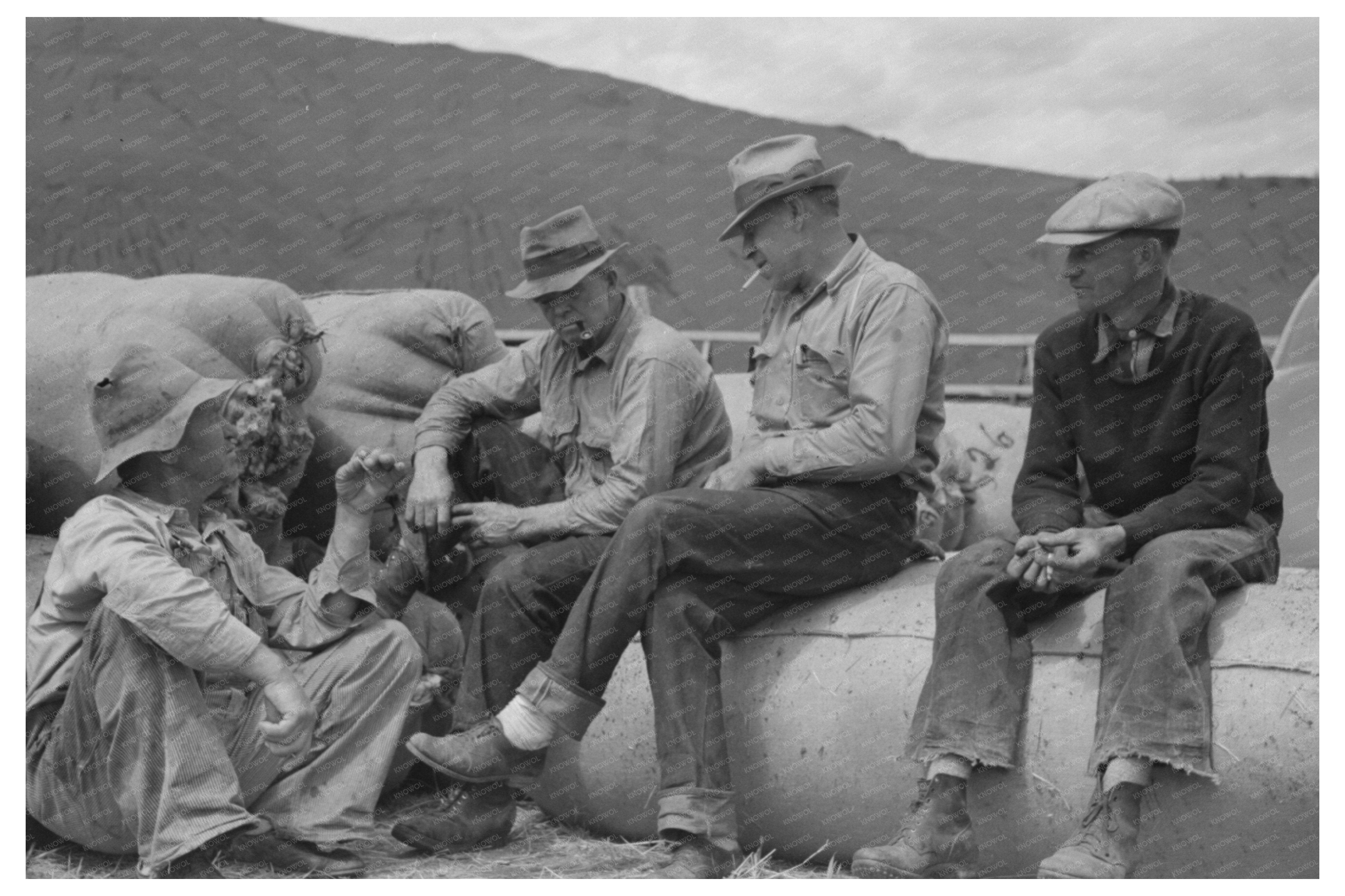 Sheep Shearers Working in Malheur County Oregon 1941