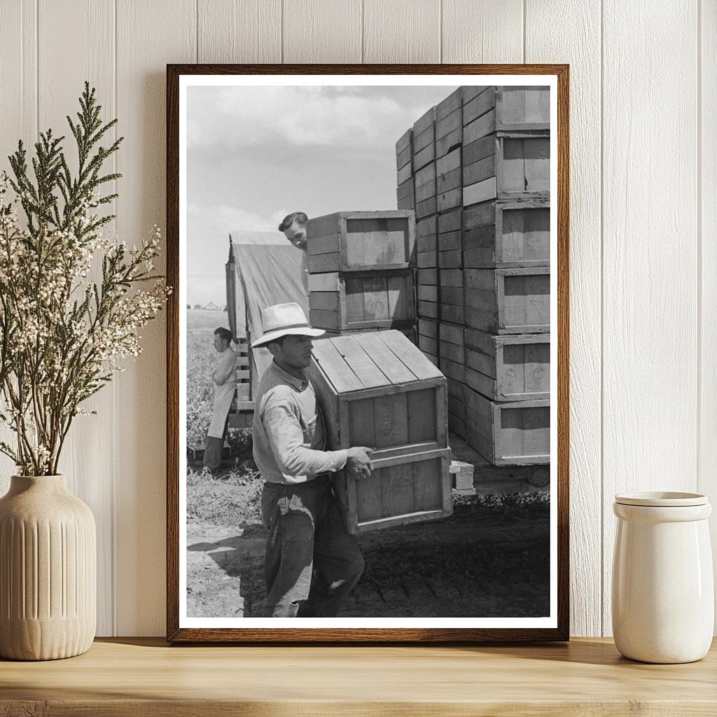 Nampa Idaho Pea Packing Scene June 1941