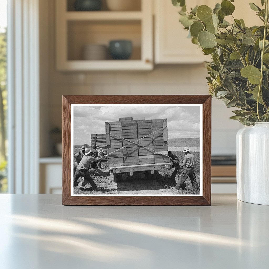 Labor Crew Tying Crates of Peas in Nampa Idaho 1941