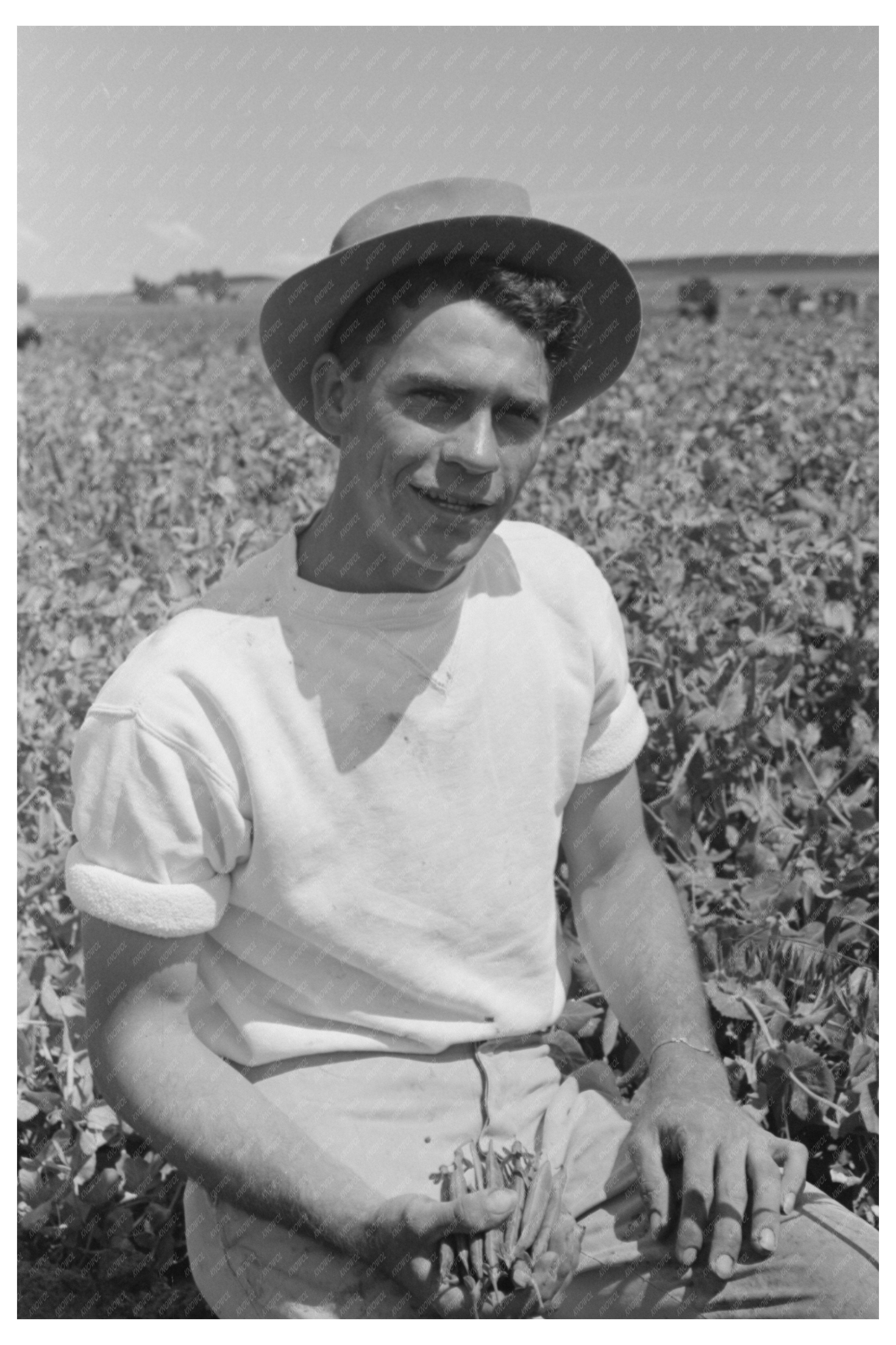 Vintage Pea Picker with Labor Contractor Nampa Idaho 1941