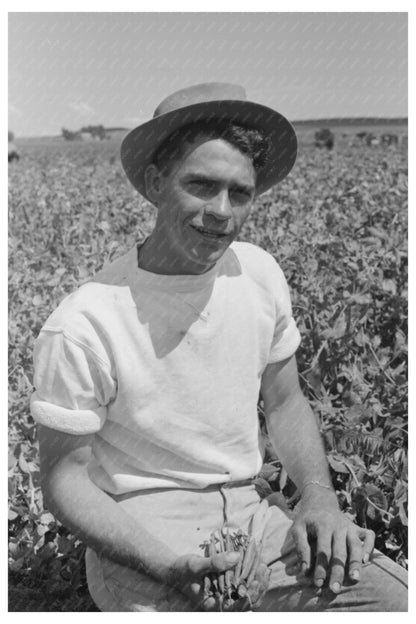 Vintage Pea Picker with Labor Contractor Nampa Idaho 1941