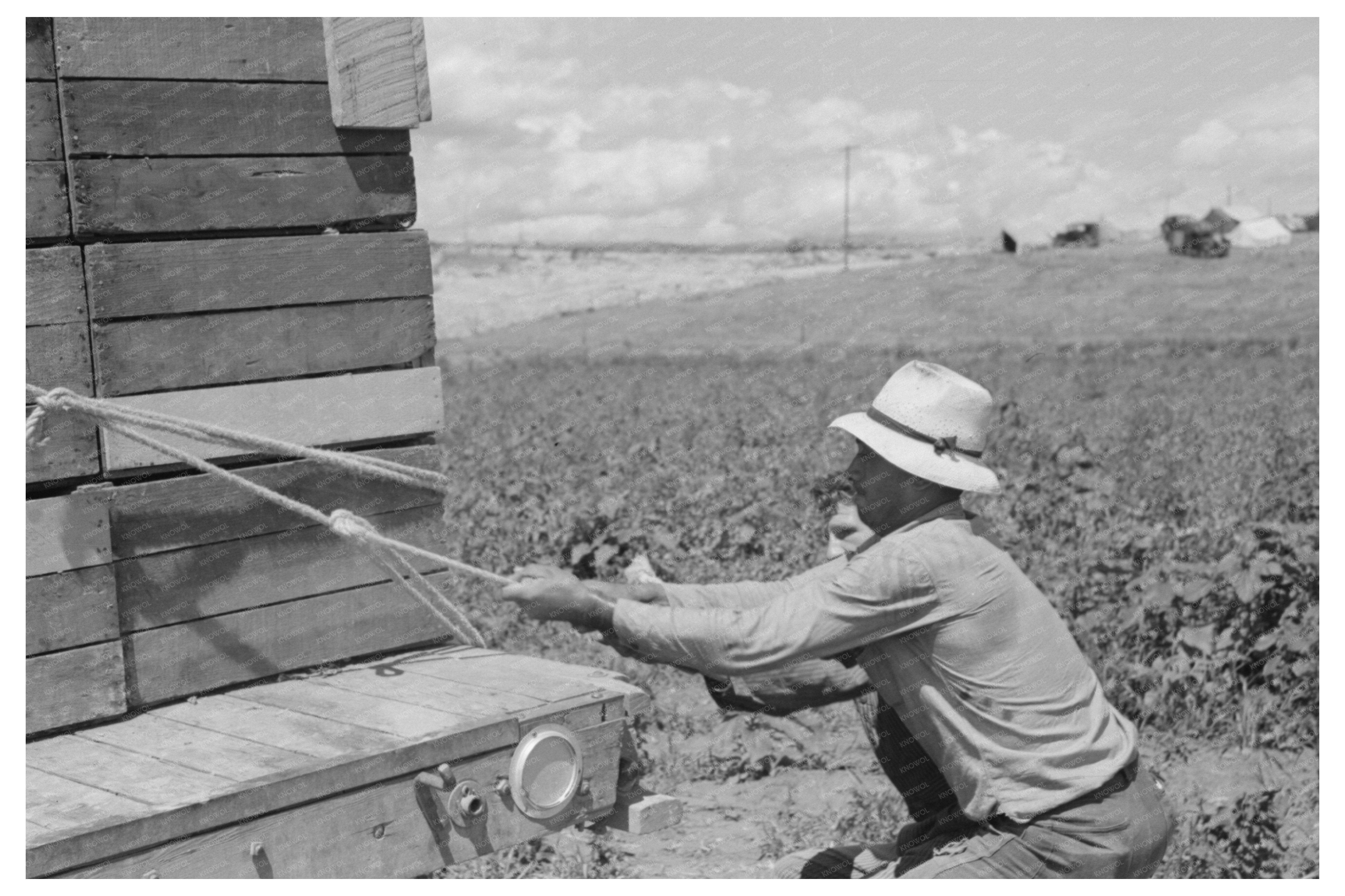 Pea Pickers in Nampa Idaho June 1941 FSA/OWI Collection