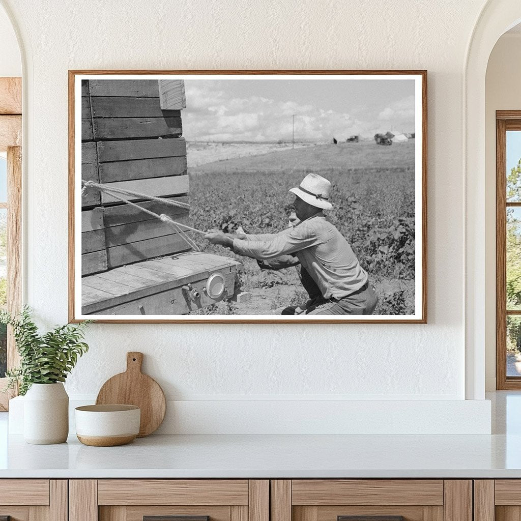 Pea Pickers in Nampa Idaho June 1941 FSA/OWI Collection