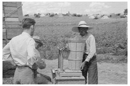 Labor Contractors Weighing Peas Nampa Idaho June 1941