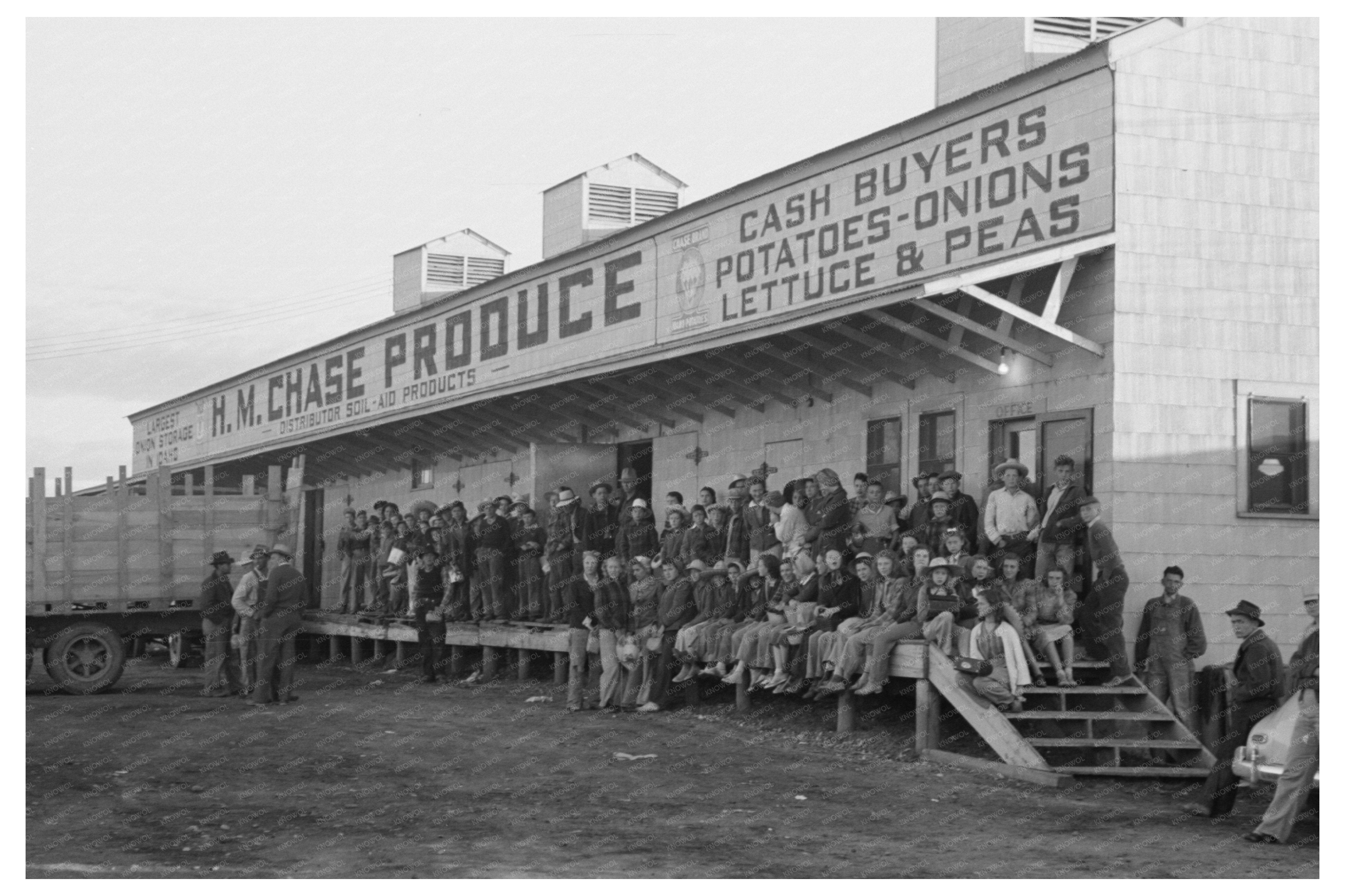 High School Students Boarding Trucks for Farm Work 1941