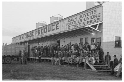 High School Students Boarding Trucks for Farm Work 1941