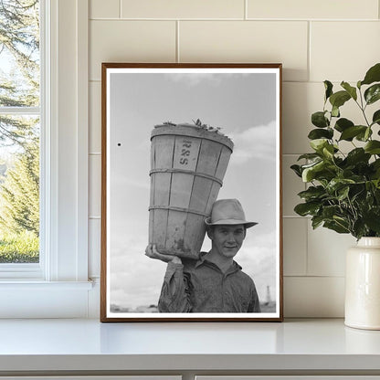 Pea Picker in Nampa Idaho June 1941 Agricultural Labor