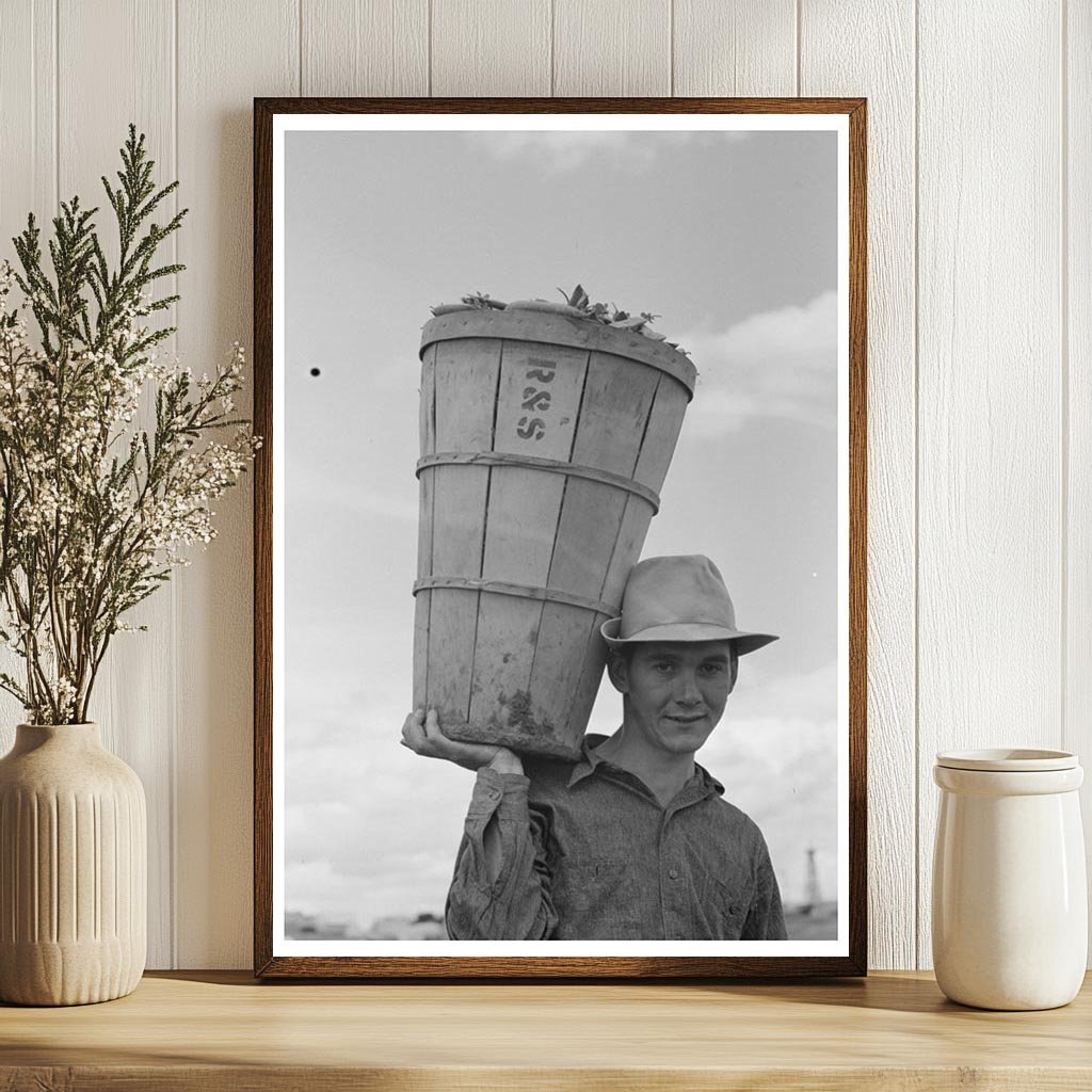 Pea Picker in Nampa Idaho June 1941 Agricultural Labor