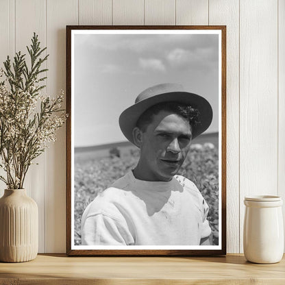 Labor Contractors Working in Pea Fields Nampa Idaho 1941