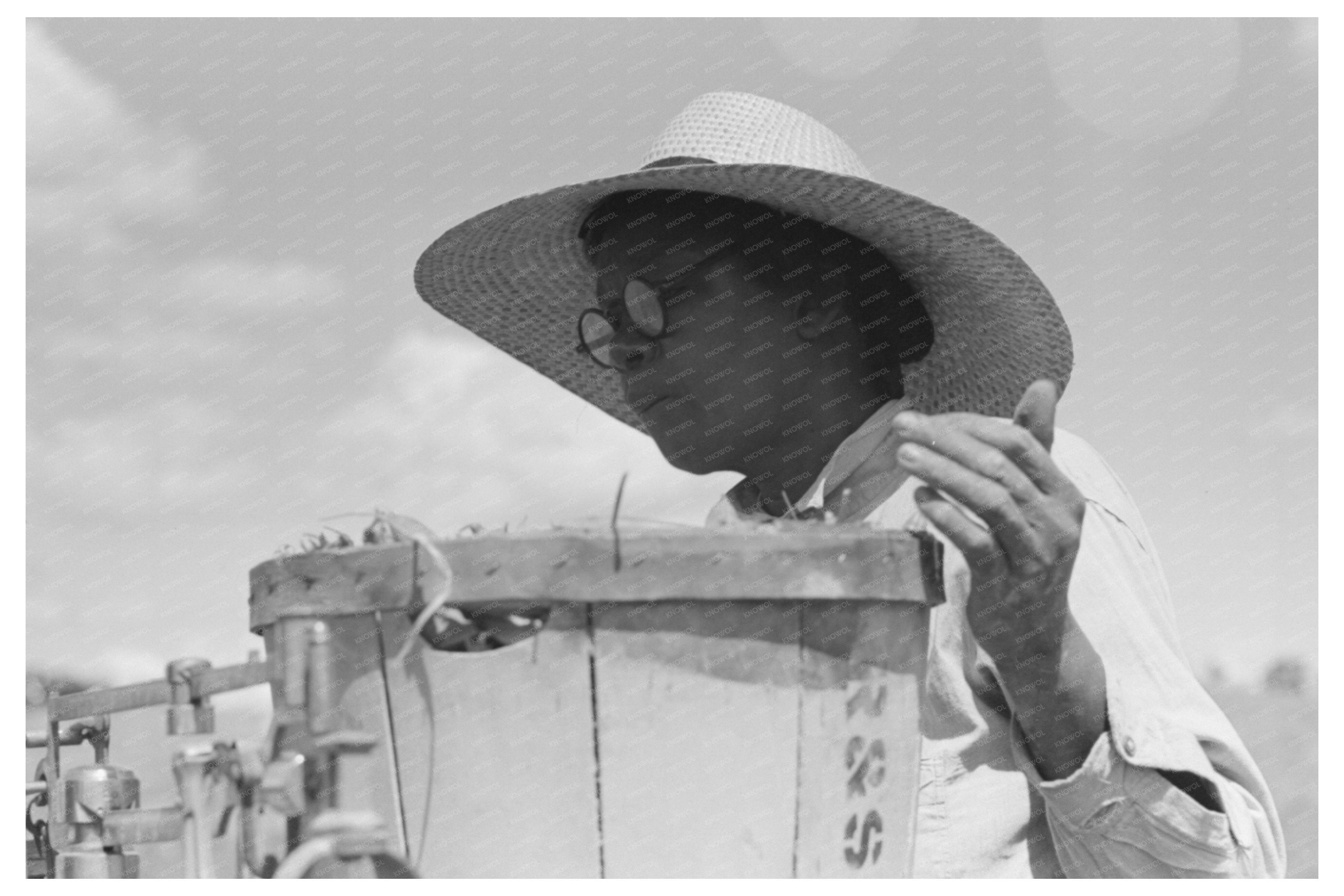 Vintage 1941 Pea Picking Labor Nampa Idaho Image