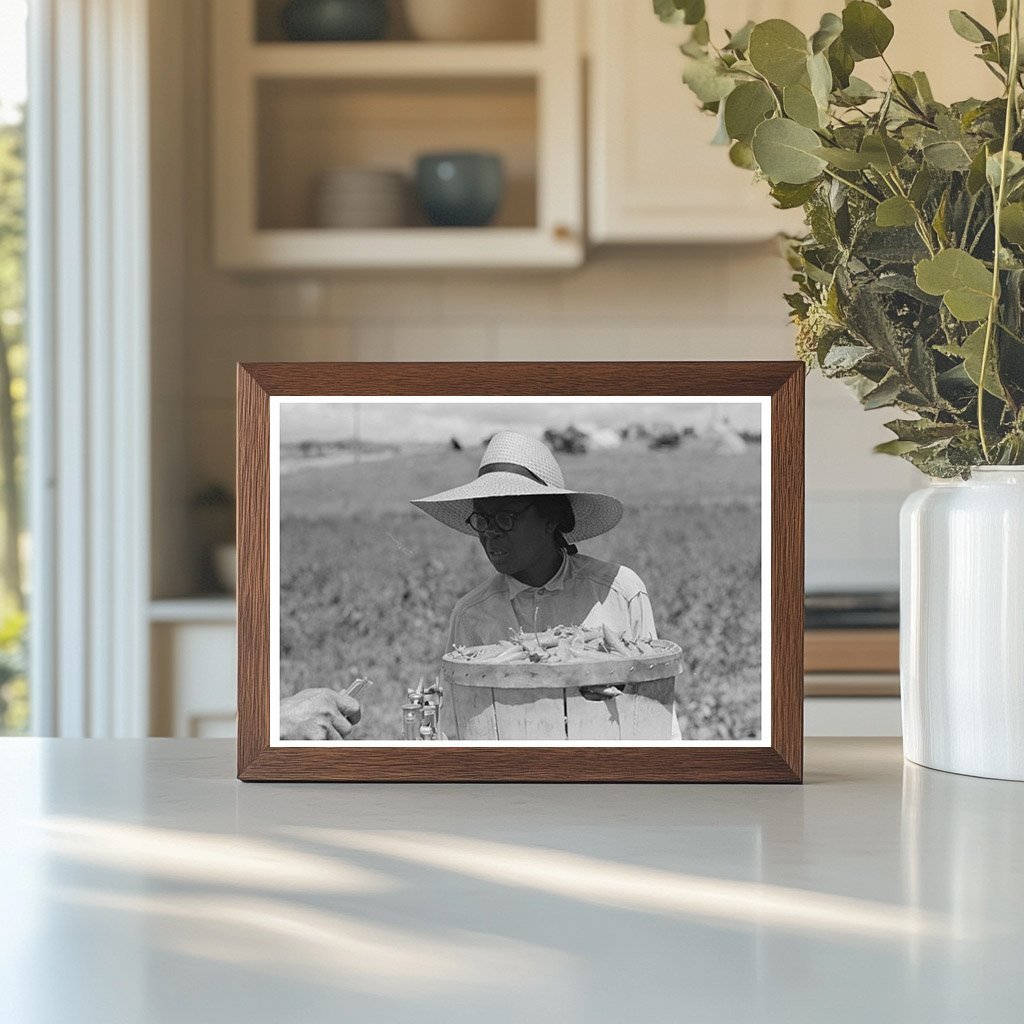 Pea Picking Scene Nampa Idaho June 1941 Vintage Photo