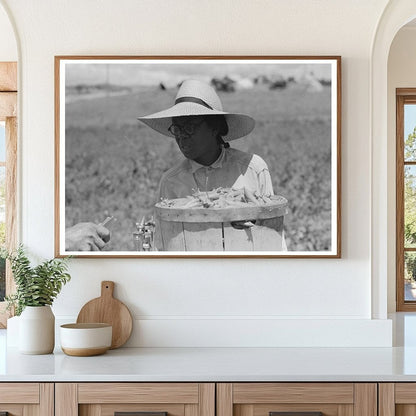 Pea Picking Scene Nampa Idaho June 1941 Vintage Photo