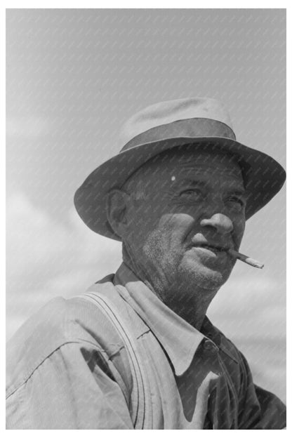 Pea Pickers Working in Nampa Idaho June 1941