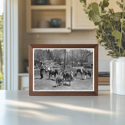 Pony Ride Concession Vale Oregon July 1941