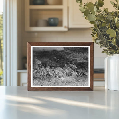 Grass Fire in Vale Oregon July 1941 Vintage Photo