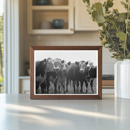 Yearling Livestock at Cruzen Ranch Idaho July 1941