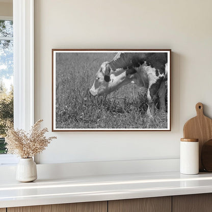 Yearling at Cruzen Ranch Valley County Idaho 1941