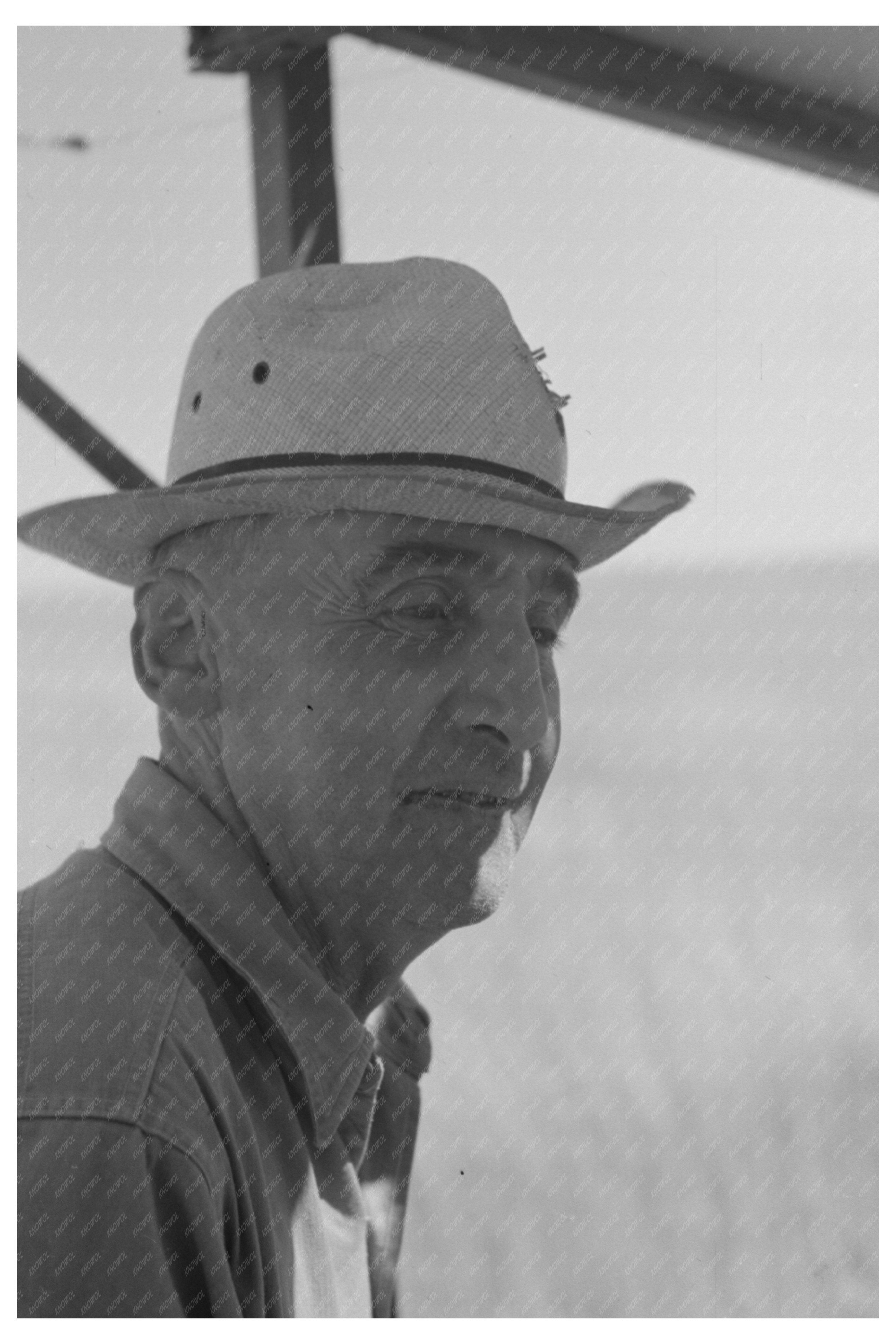 Harvest Worker in Wheat Fields Walla Walla County 1941