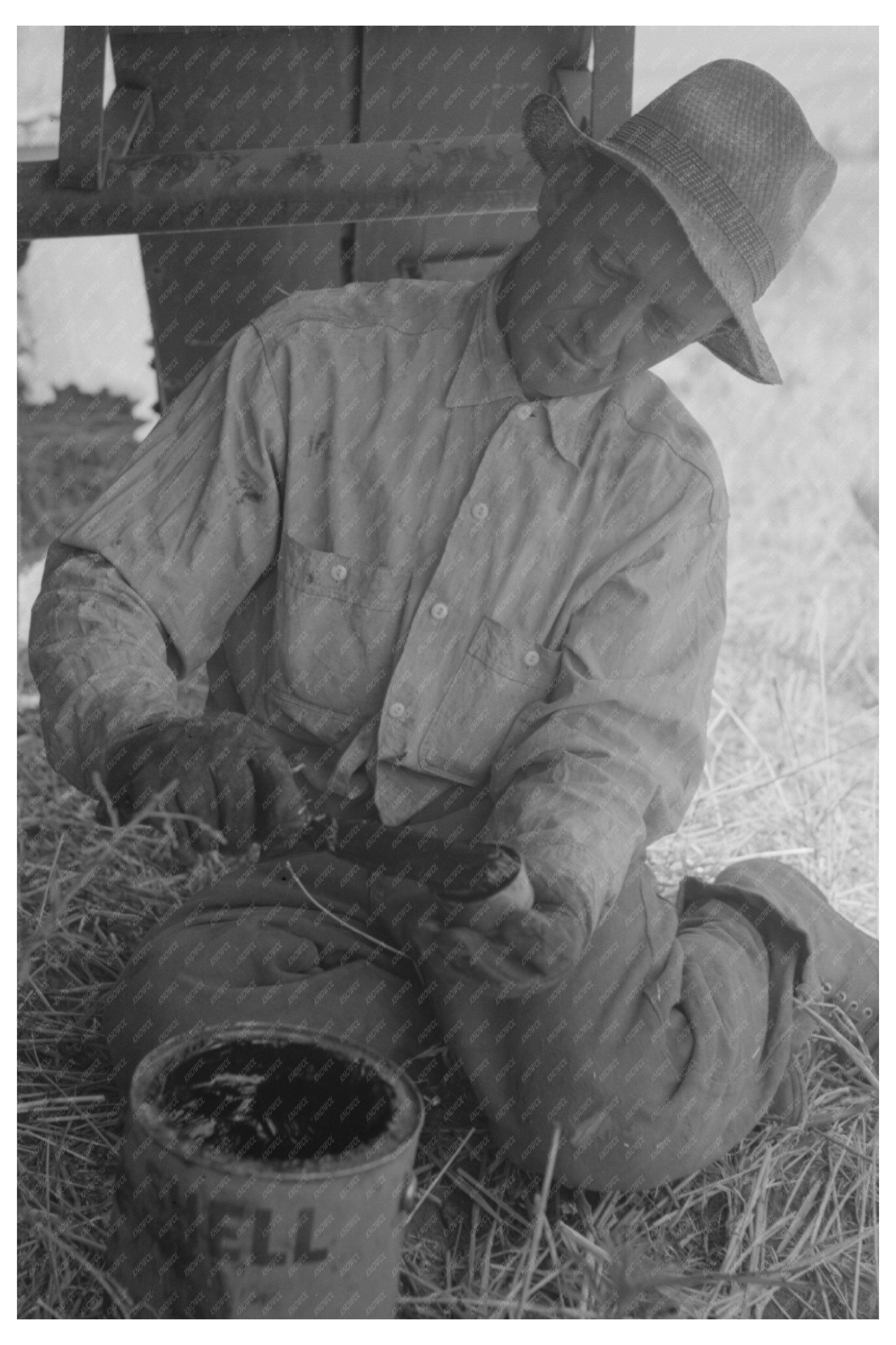 Harvest Hand Operating Combine Walla Walla County 1941