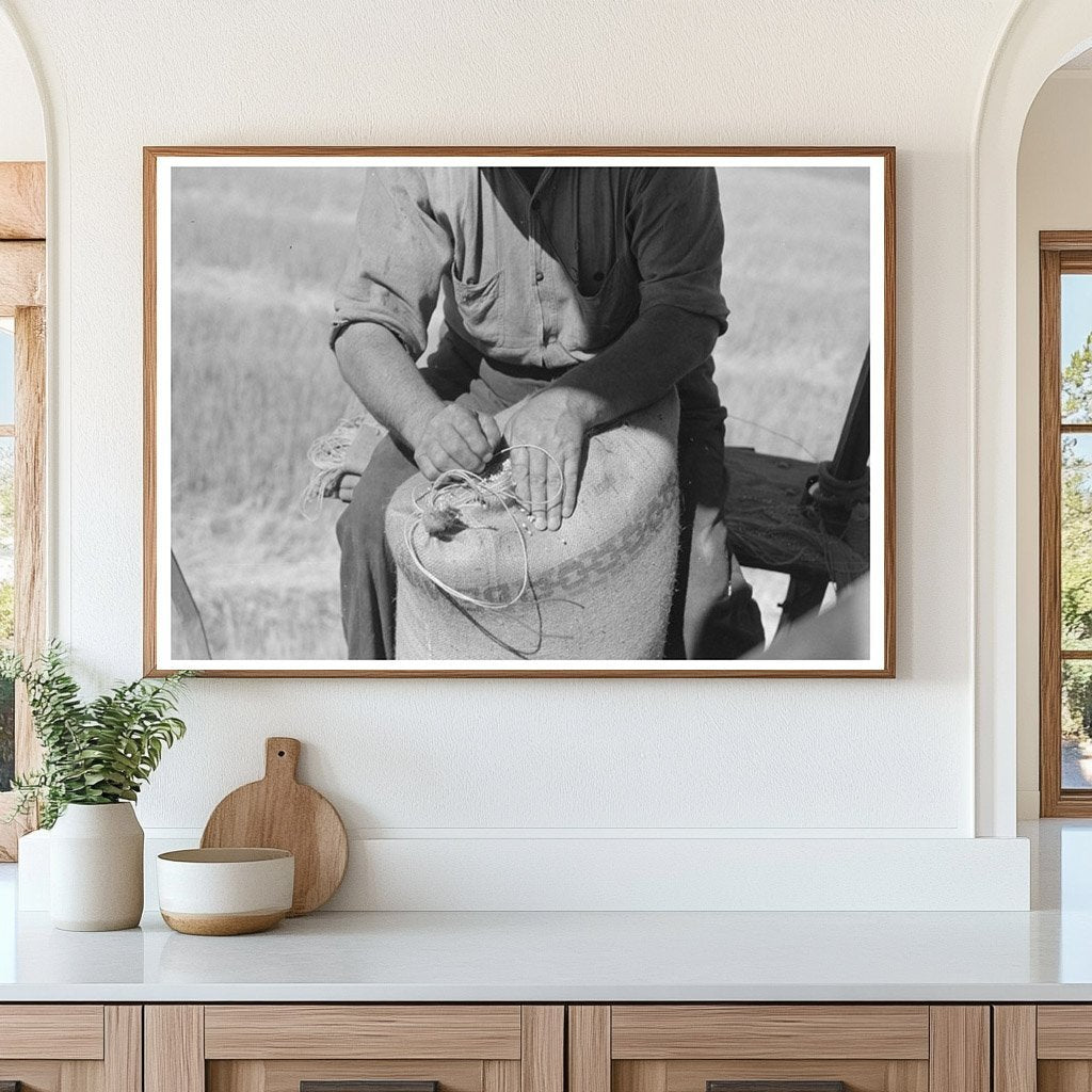 Combine Harvester and Wheat Harvesting in 1941 Washington