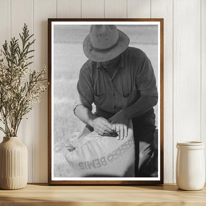 Worker Sewing Wheat Sack on Combine Harvester 1941