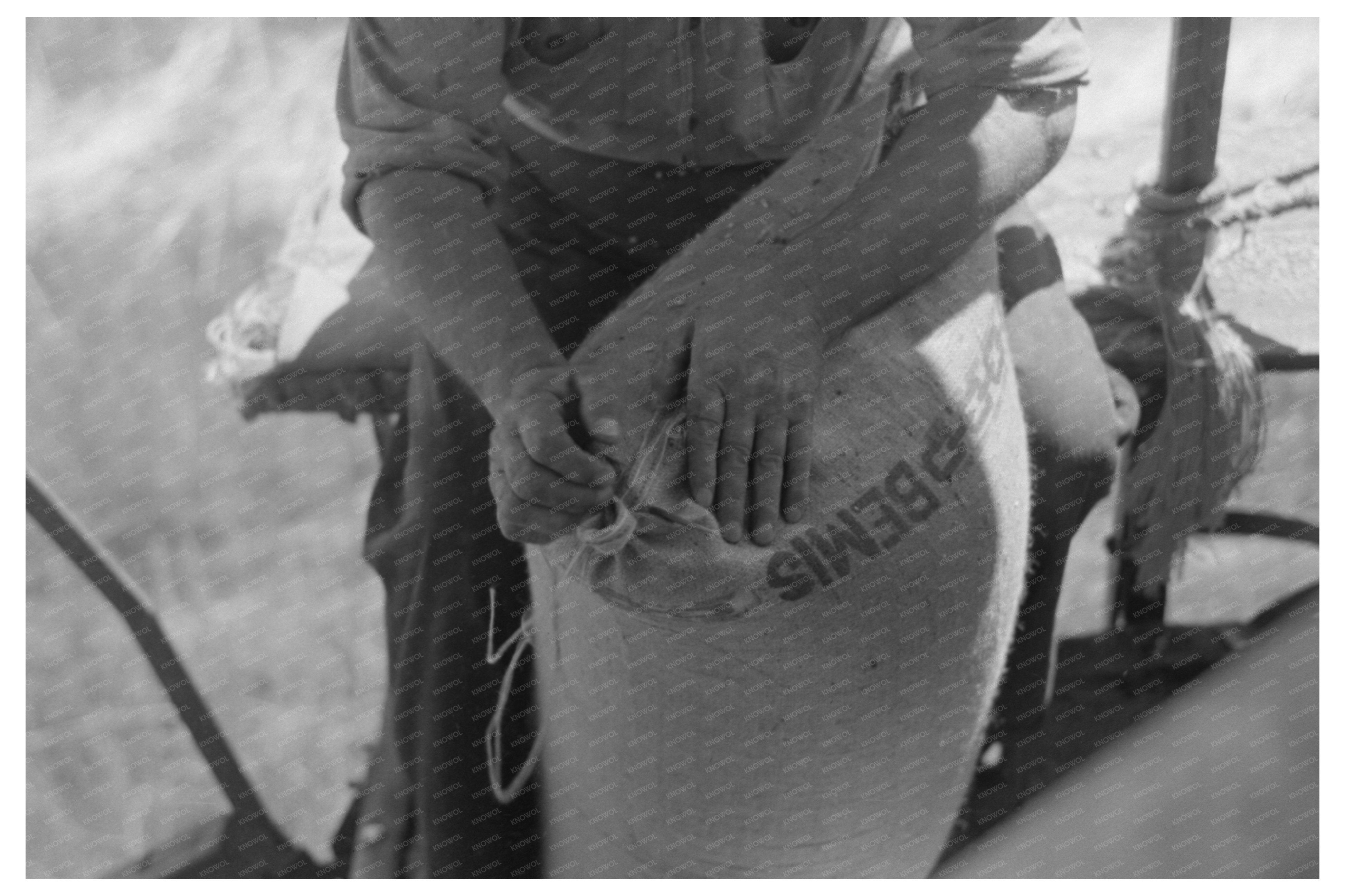 Worker Sewing Sack of Wheat Walla Walla County 1941