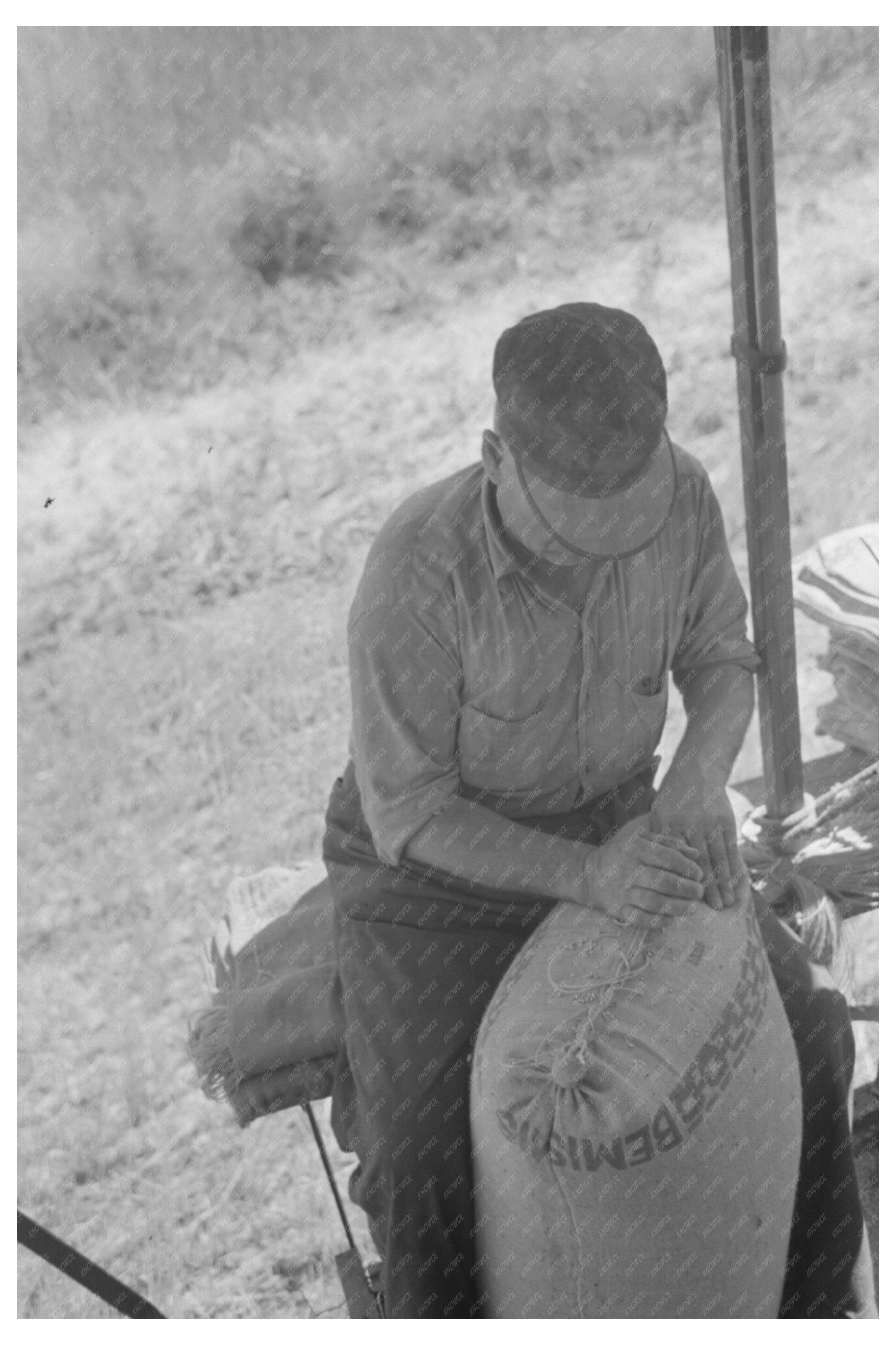 Wheat Farmer Operating Combine in Walla Walla 1941