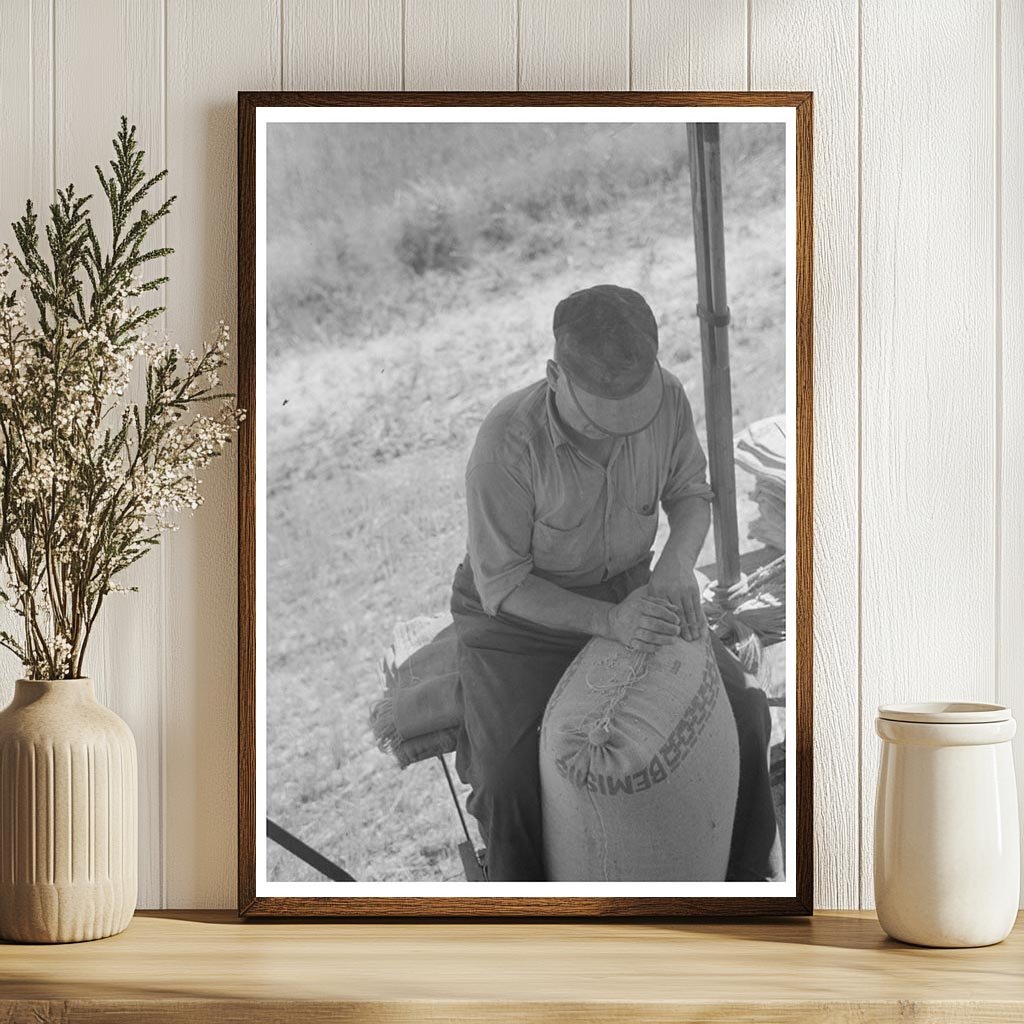 Wheat Farmer Operating Combine in Walla Walla 1941