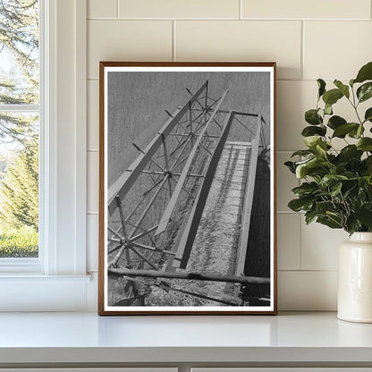 Combine Harvester in Wheat Field Walla Walla 1941