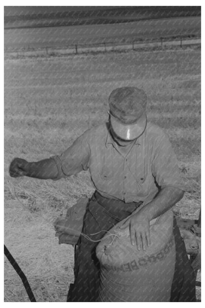 Wheat Farmer Sewing Bemis Bags Walla Walla County 1941