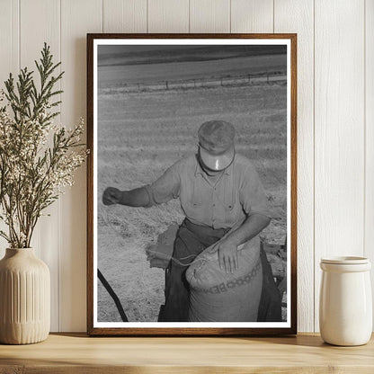 Wheat Farmer Sewing Bemis Bags Walla Walla County 1941