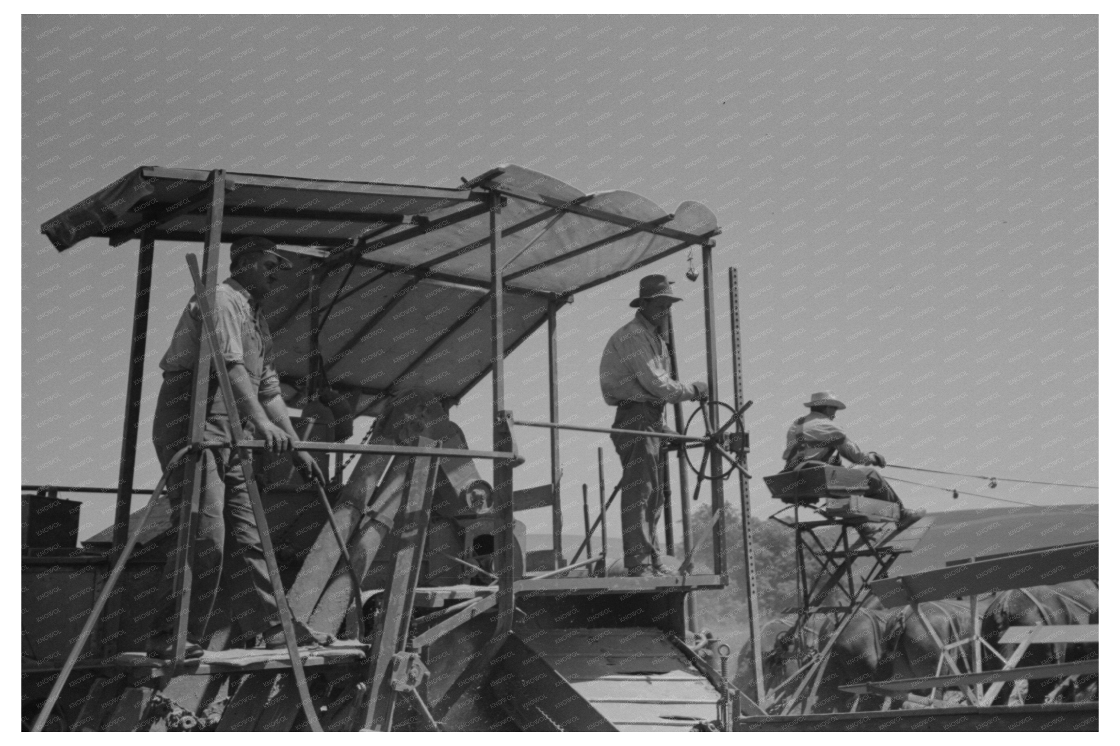 Wheat Harvesting in Walla Walla County Washington 1941