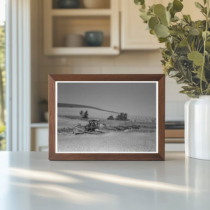 Wheat Harvesting with Mule-Drawn Combine 1941