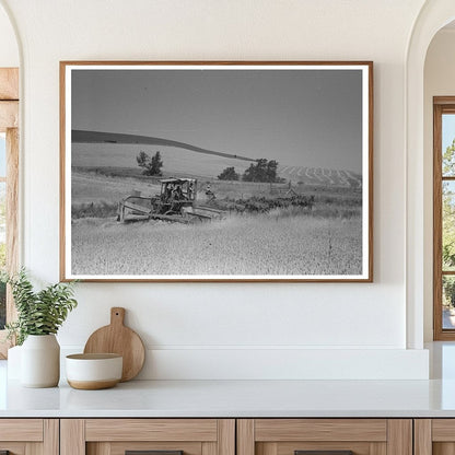 Wheat Harvesting with Mule-Drawn Combine 1941