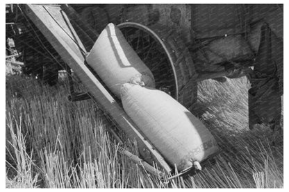 Walla Walla County Wheat Harvesting Vintage Photo 1941