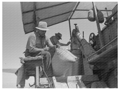 Men Operating Combine in Walla Walla Wheat Field 1941