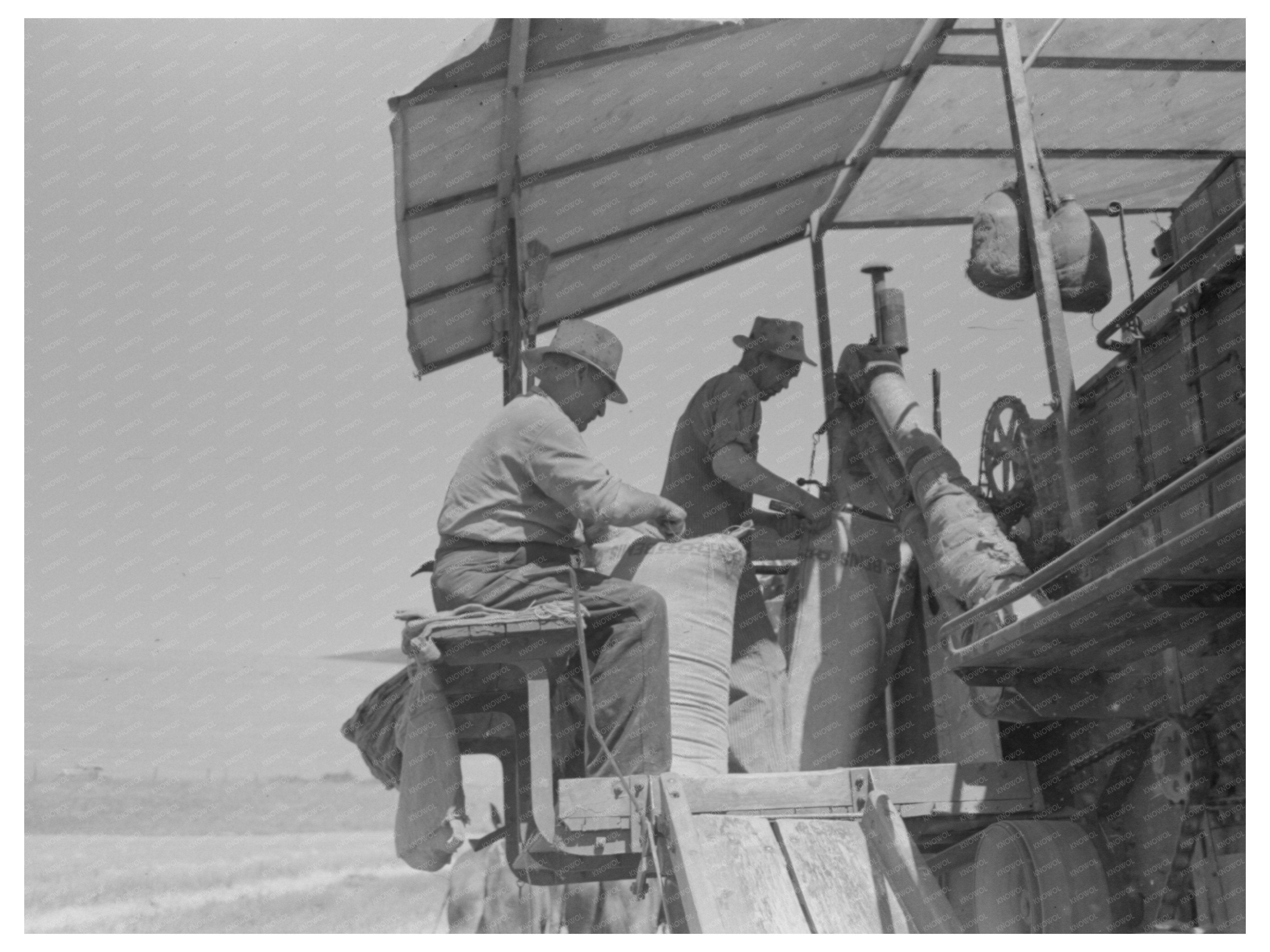 Walla Walla County Wheat Harvesting 1941