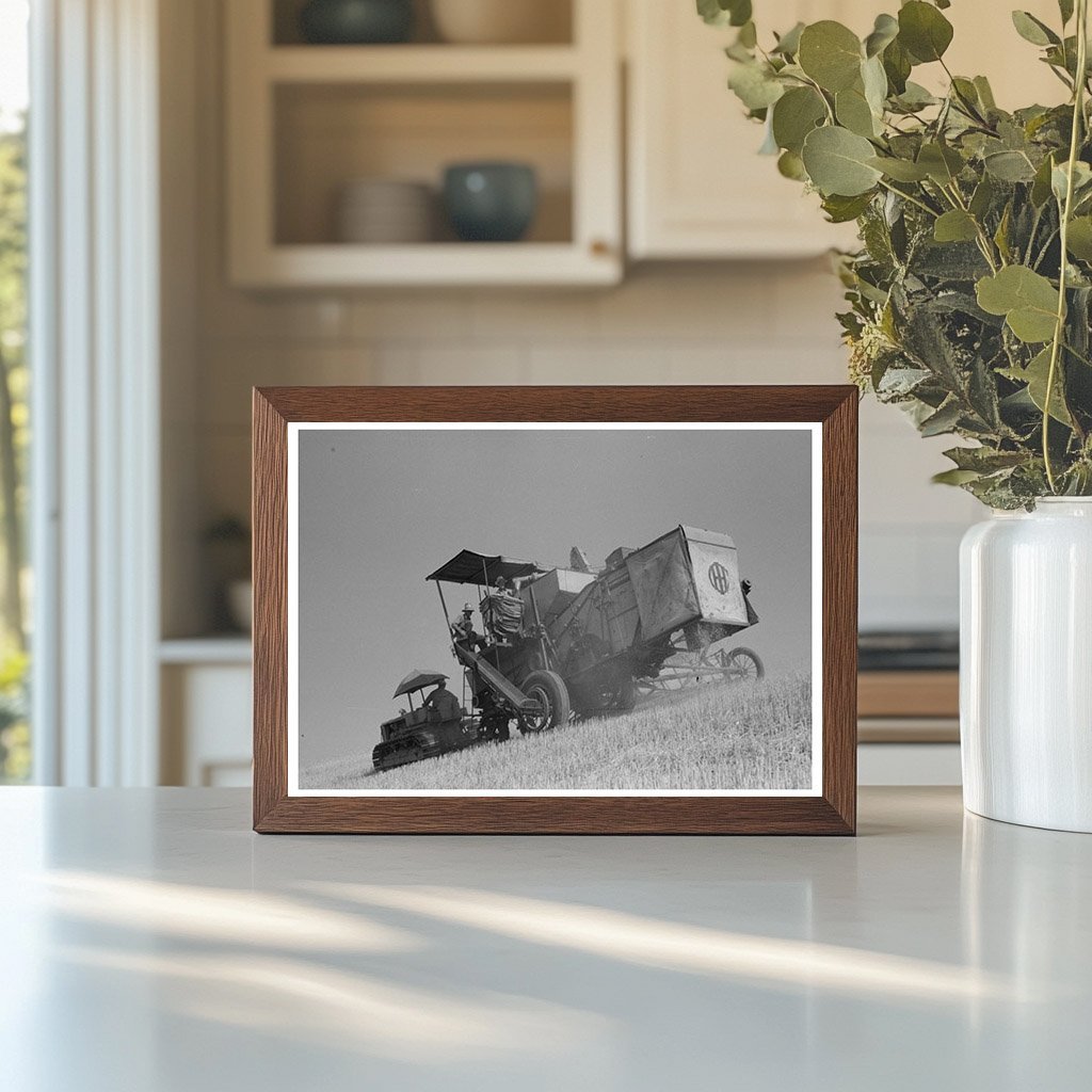 Combine Harvesting Wheat in Walla Walla County 1941