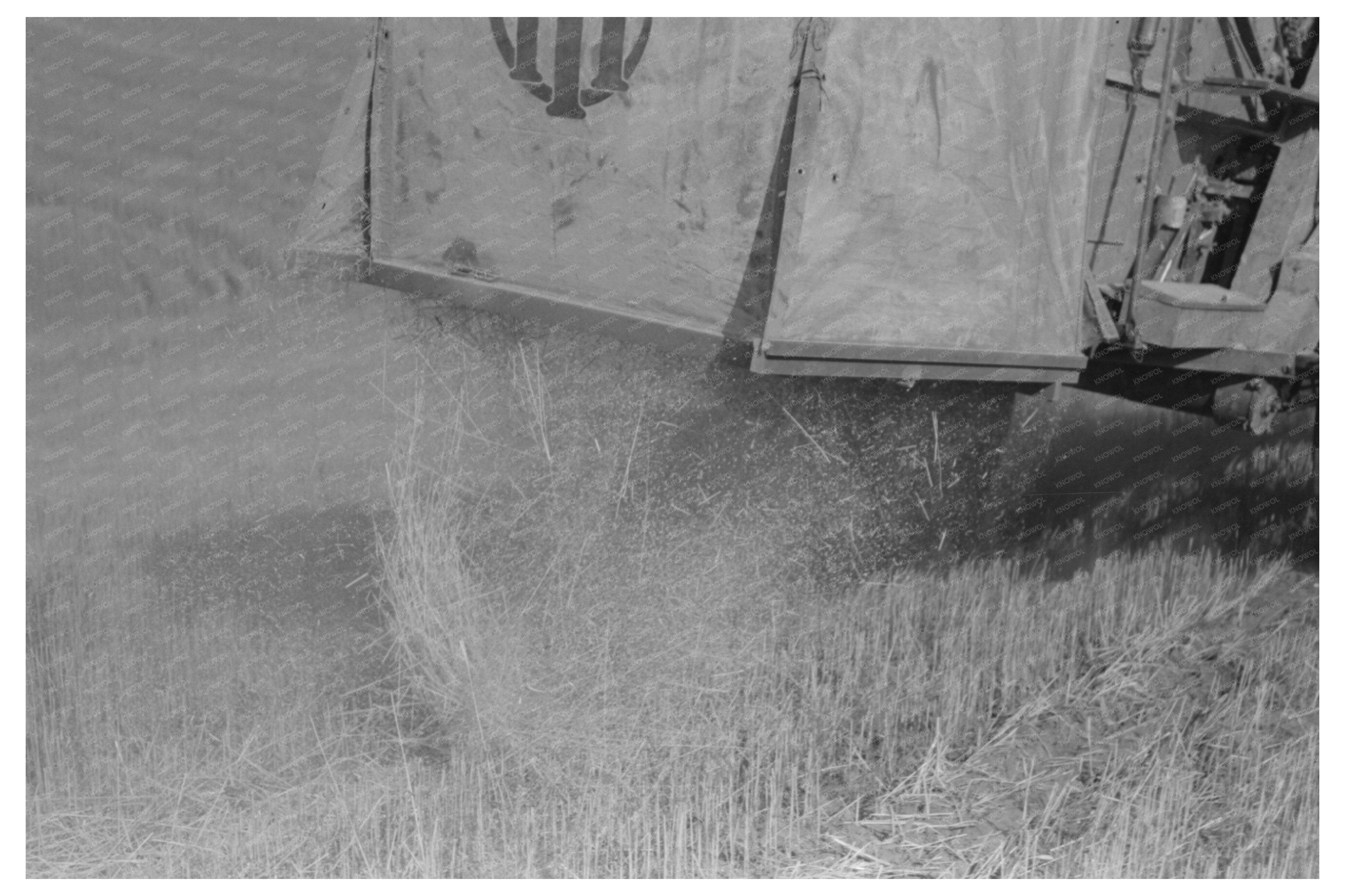 Vintage 1941 Combine Harvester in Walla Walla Wheat Field