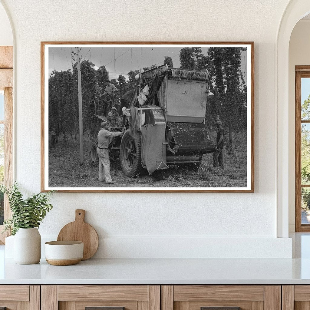 1941 Portable-Type Mechanical Hop Picker in Yakima County