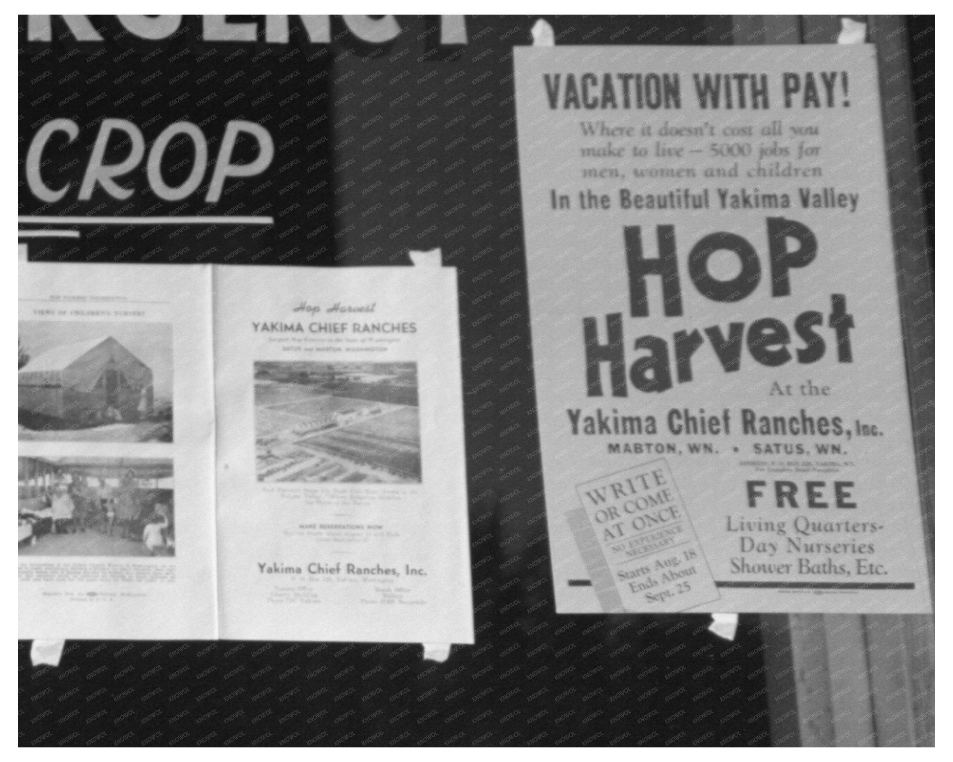 Community Harvest Emergency Committee Yakima 1941