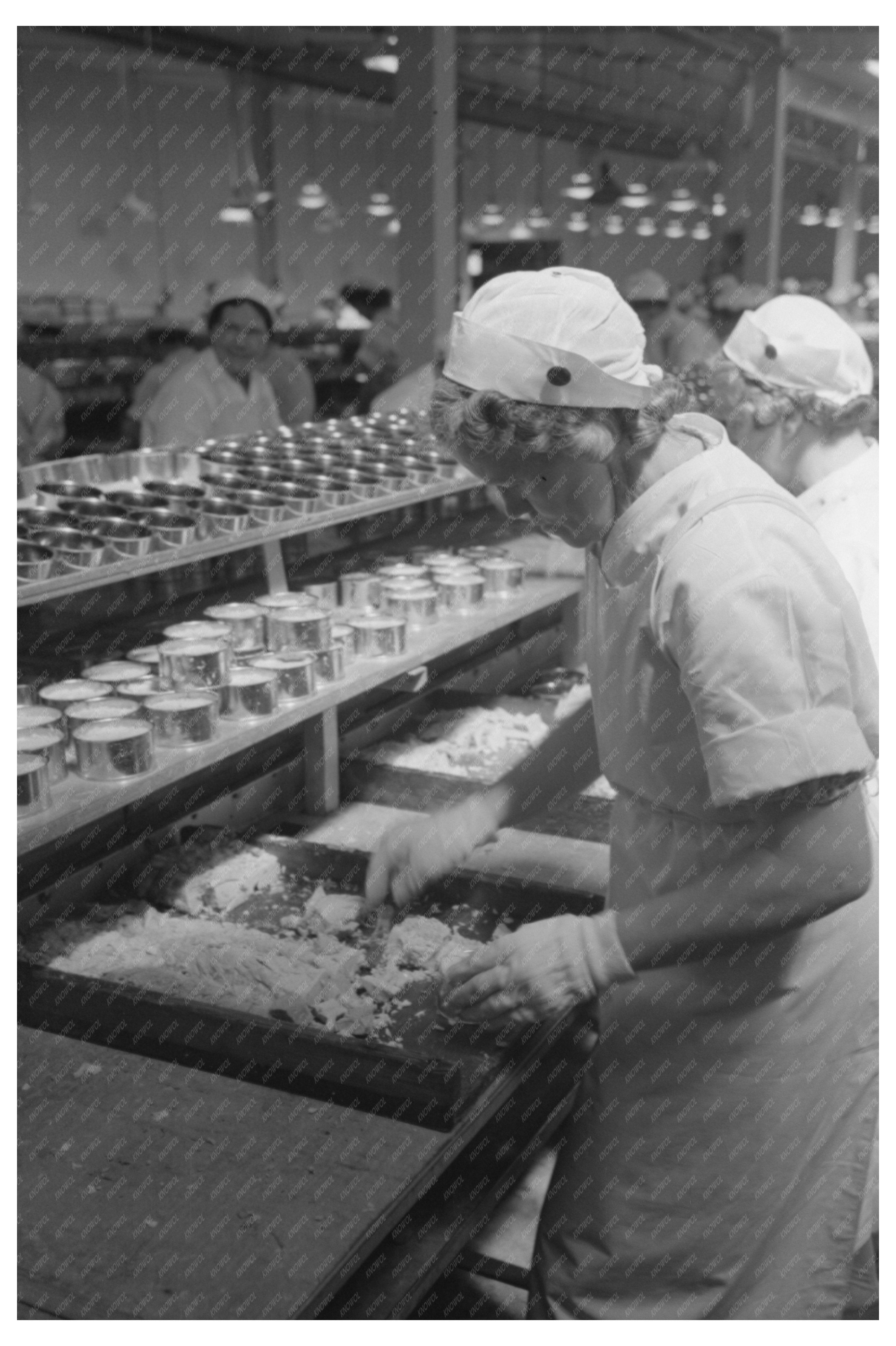 Tuna Packing at Columbia River Packing Association 1941