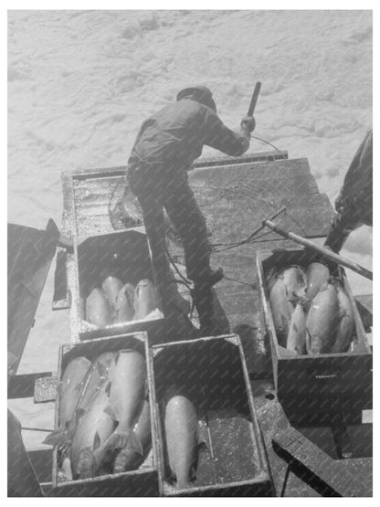 Indian Fishing for Salmon at Celilo Falls Oregon 1941