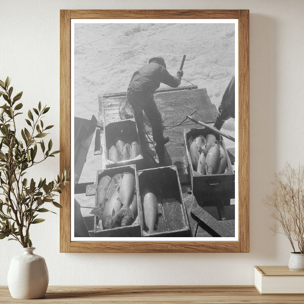 Indian Fishing for Salmon at Celilo Falls Oregon 1941